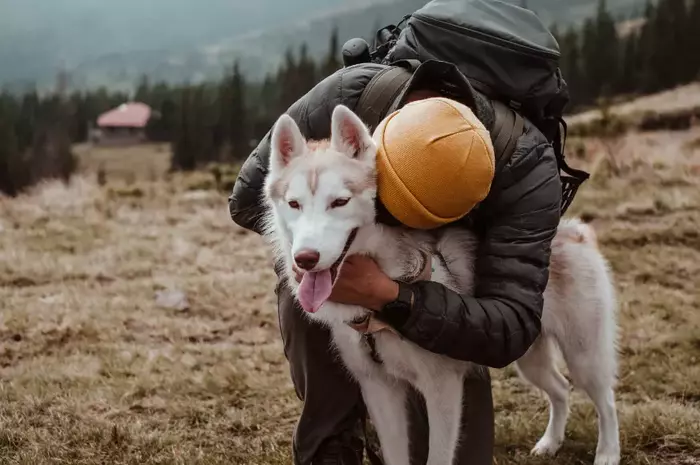 dog friendly campgrounds in Florida.