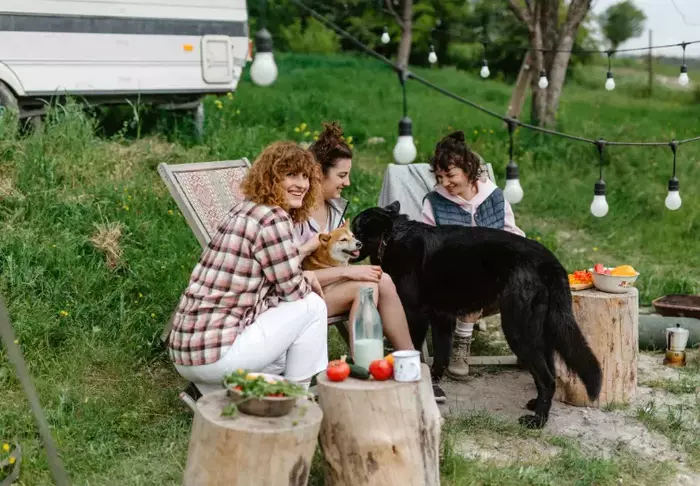 dog friendly camping in Florida.