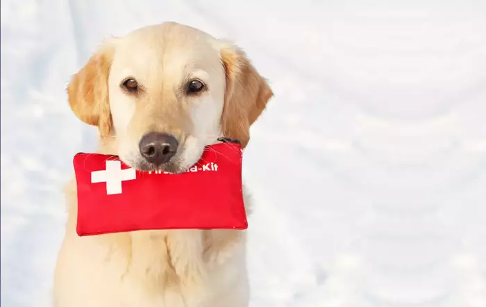 FIRST AID KIT FOR PET DOGS