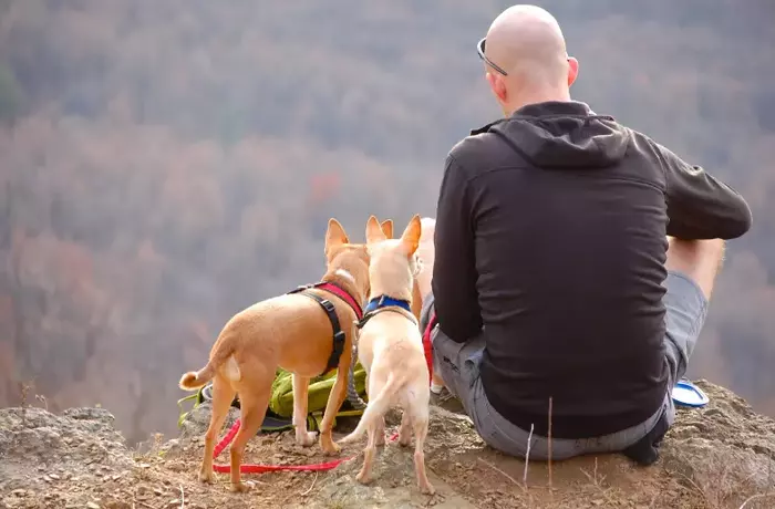 dog friendly campgrounds in Florida.