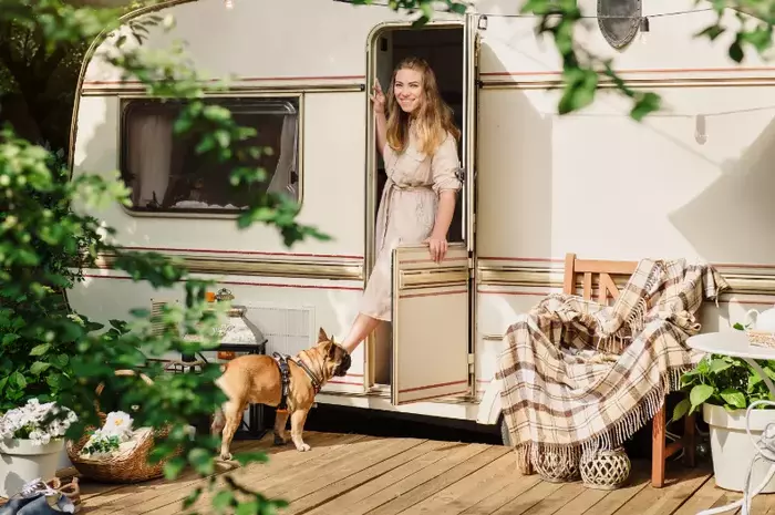 dog friendly camping in the U.S.