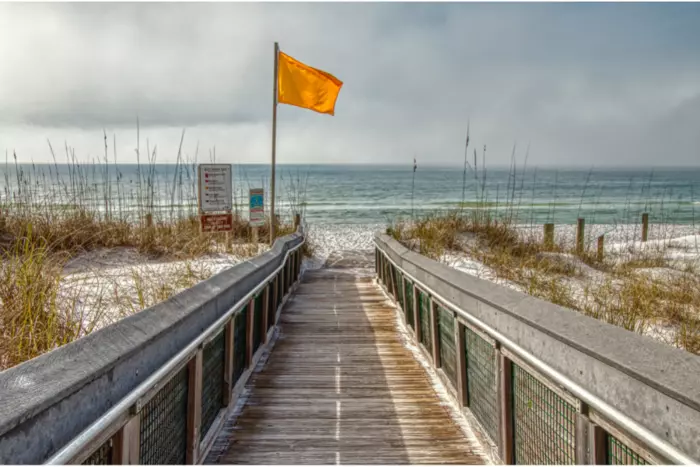 Grayton Beach State Park Photos