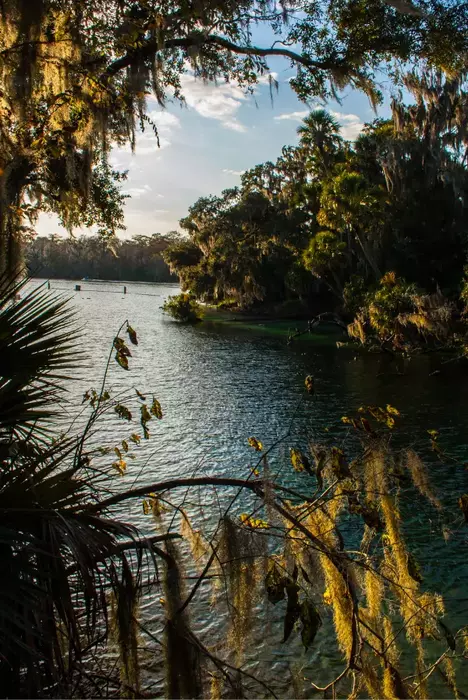 O'Leno State Park Photos