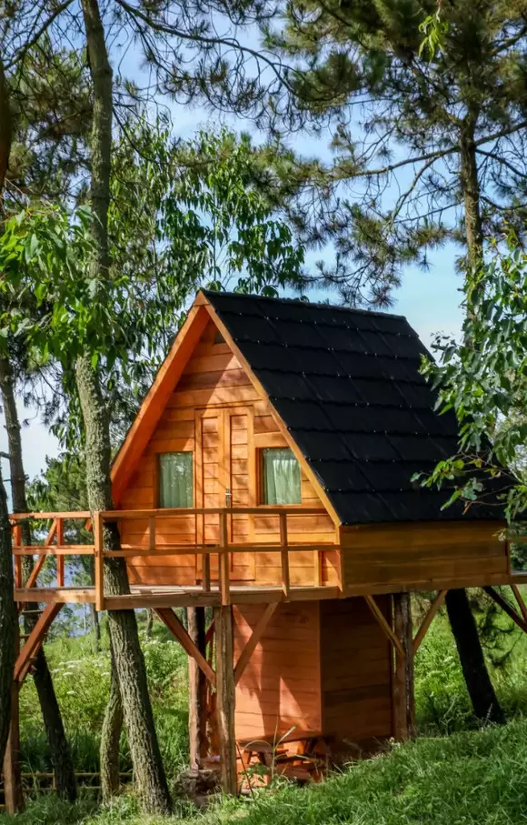 TreeHouse, Saint Cloud