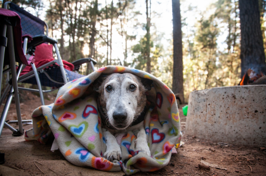 How To Insulate a Tent For Winter Camping